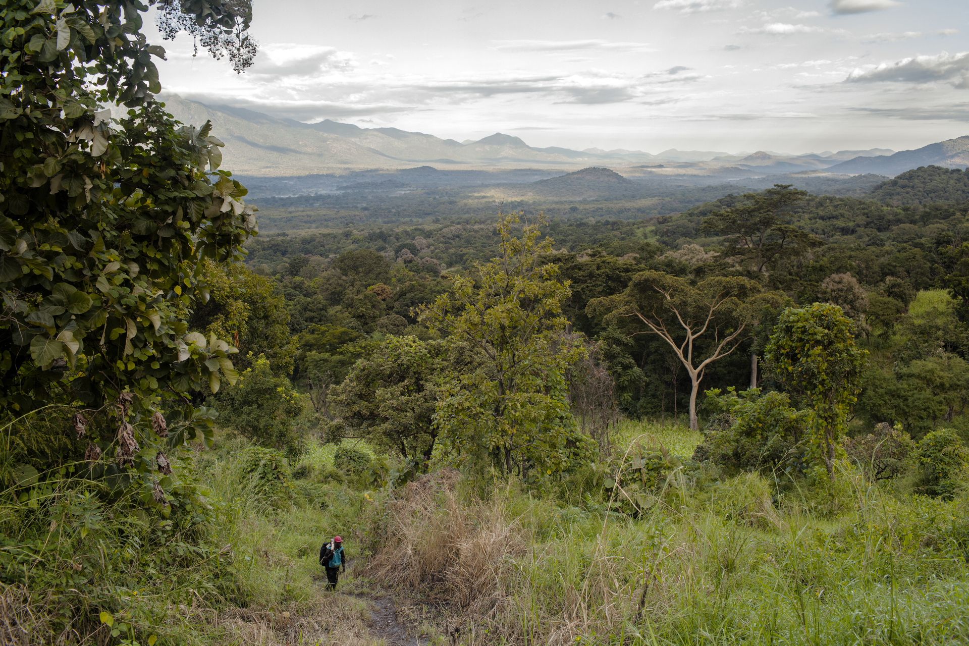 South Sudan, "A wild country grows in South Sudan" Marco Di Lauro